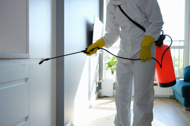 Best Biohazard Mold Removal  in Highland Park, NJ